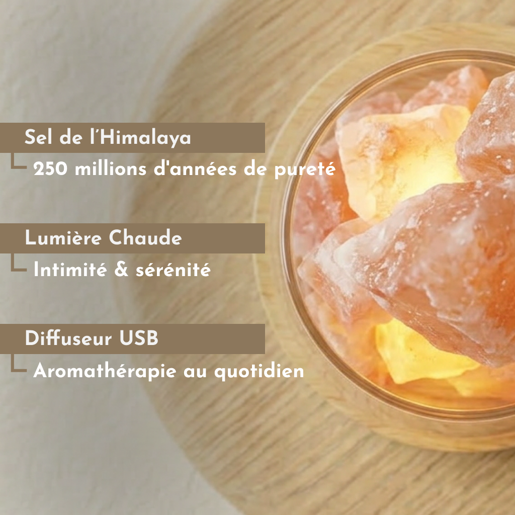 Lampe Diffuseur Sel d'Himalaya